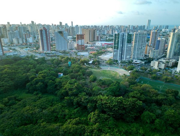 Énergie renouvelable : optimisez votre consommation d'électricité